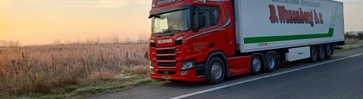 WEZENBERG TRANSPORT NEEMT MOEIJES TRANSPORT OVER PER 1 MAART 2024